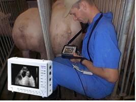 Detecta el paso de la corriente sanguínea en el corazón fetal, cordón umbilical y vasos uterinos.